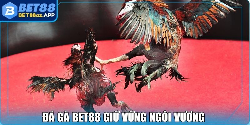Đá gà Bet88 giữ vững ngôi vương trong giới cược