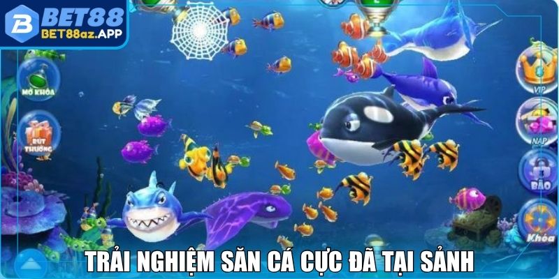 Trải nghiệm săn cá cực đã tại sảnh chơi bắn cá Bet88
